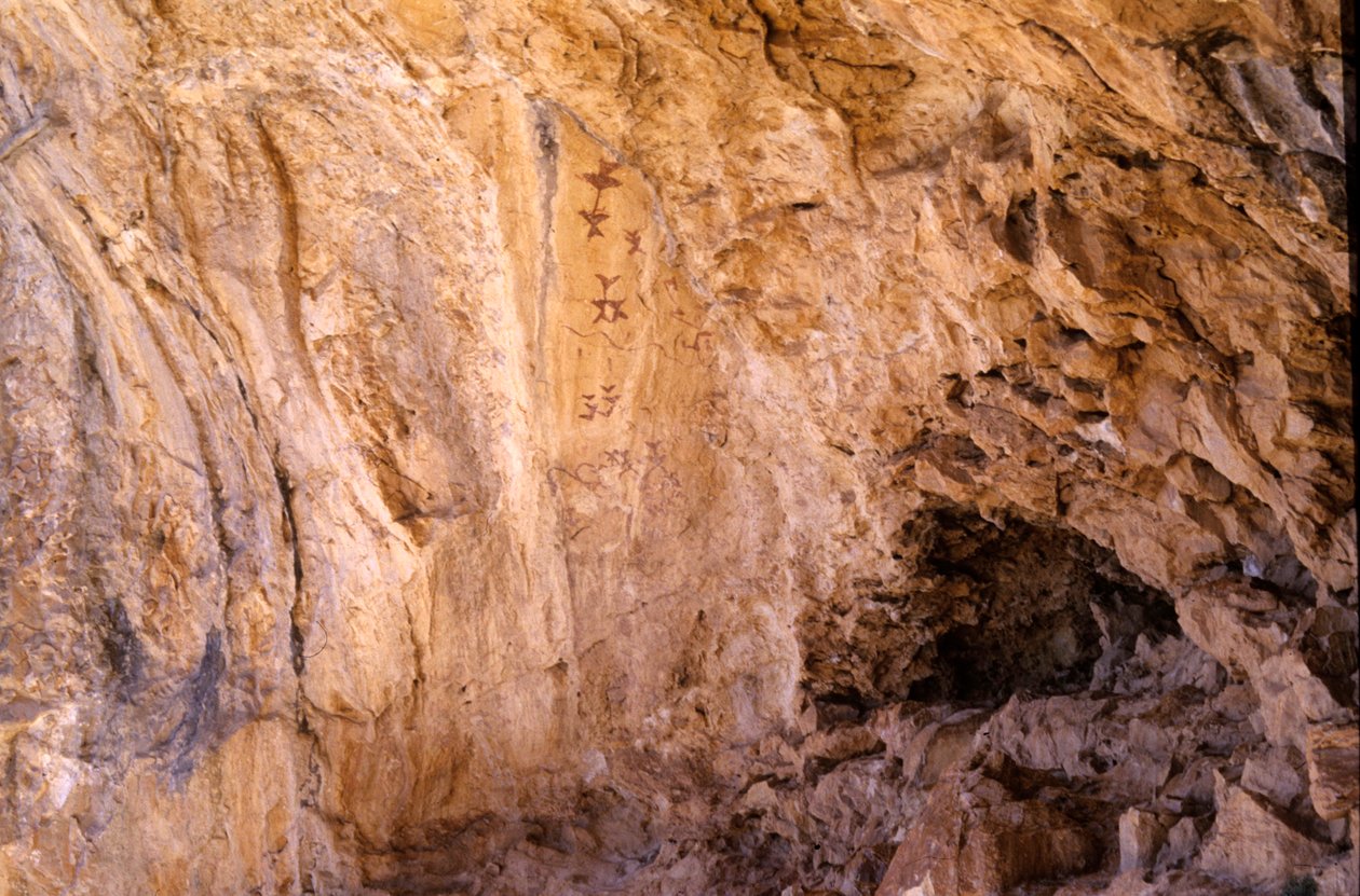 Los Letreros-grottan, nära Velez Blanco, Andalusien, 4000 f.Kr., Grottmålningar av fåglar av Unknown