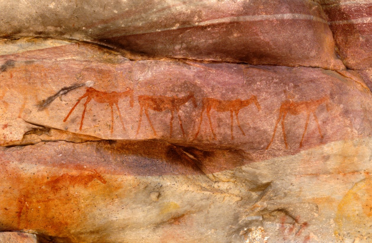 San (Bushmen) klippmålningar, Cedarburg, Western Cape av Unknown