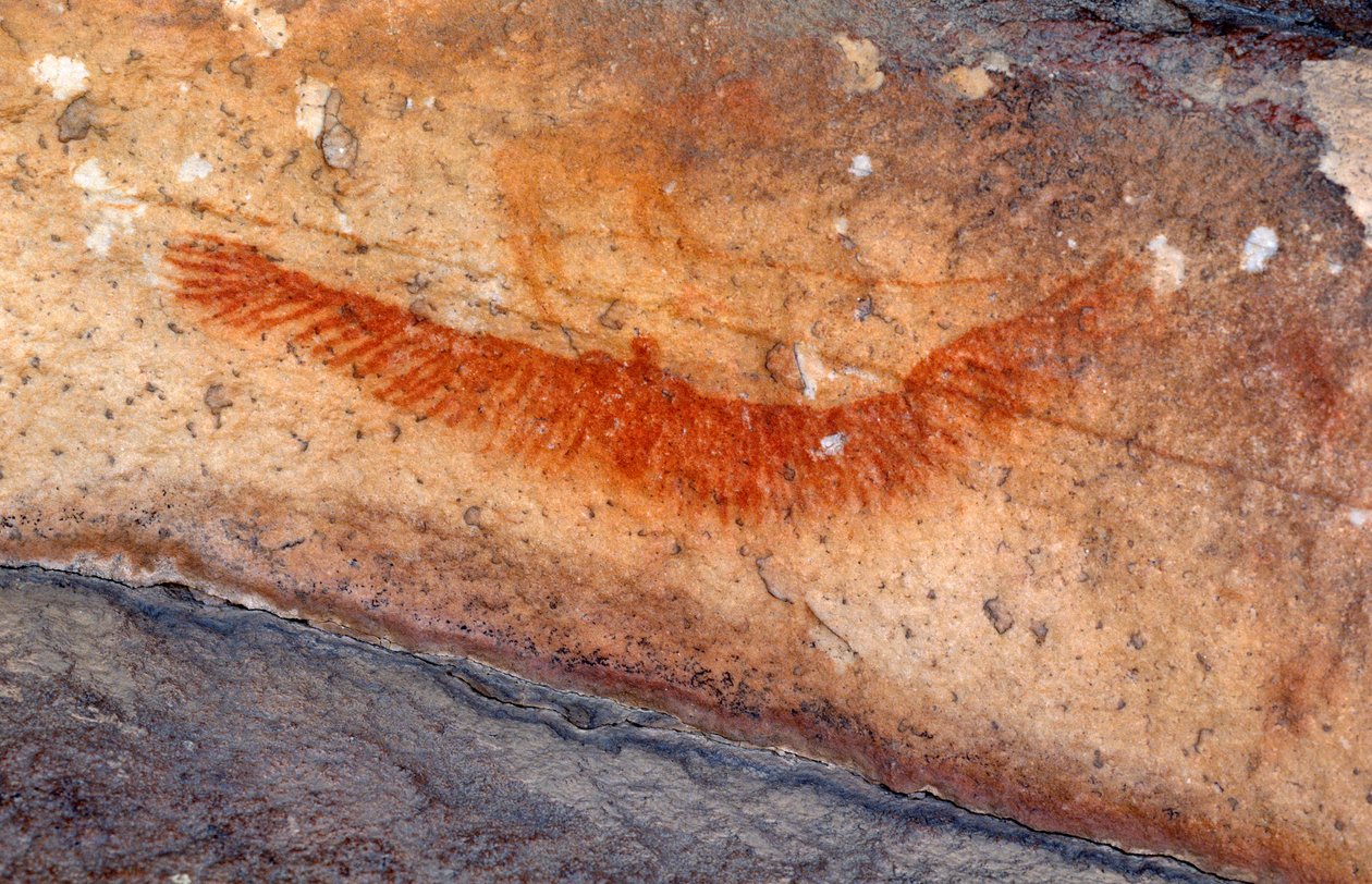 San (Bushmen) klippmålningar, Cedarburg, Western Cape av Unknown