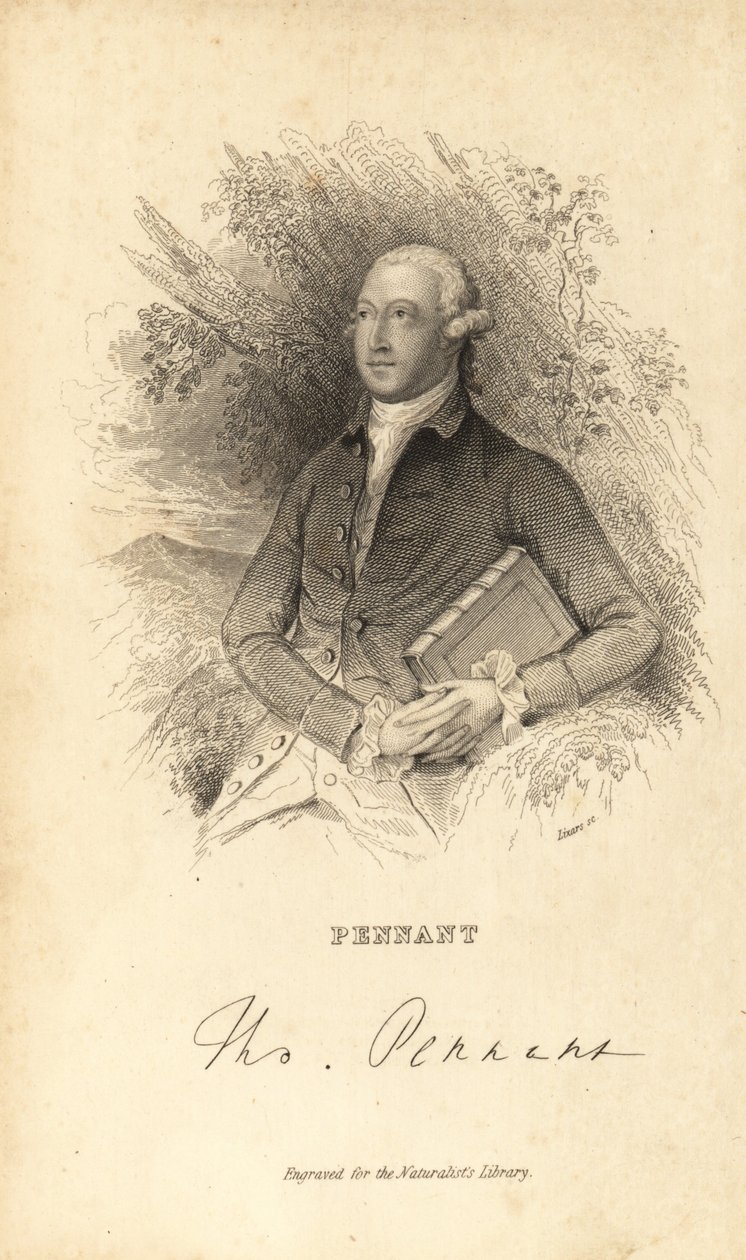 Thomas Pennant, walesisk naturforskare, författare och antikvarie, 1726-1798 av Unknown