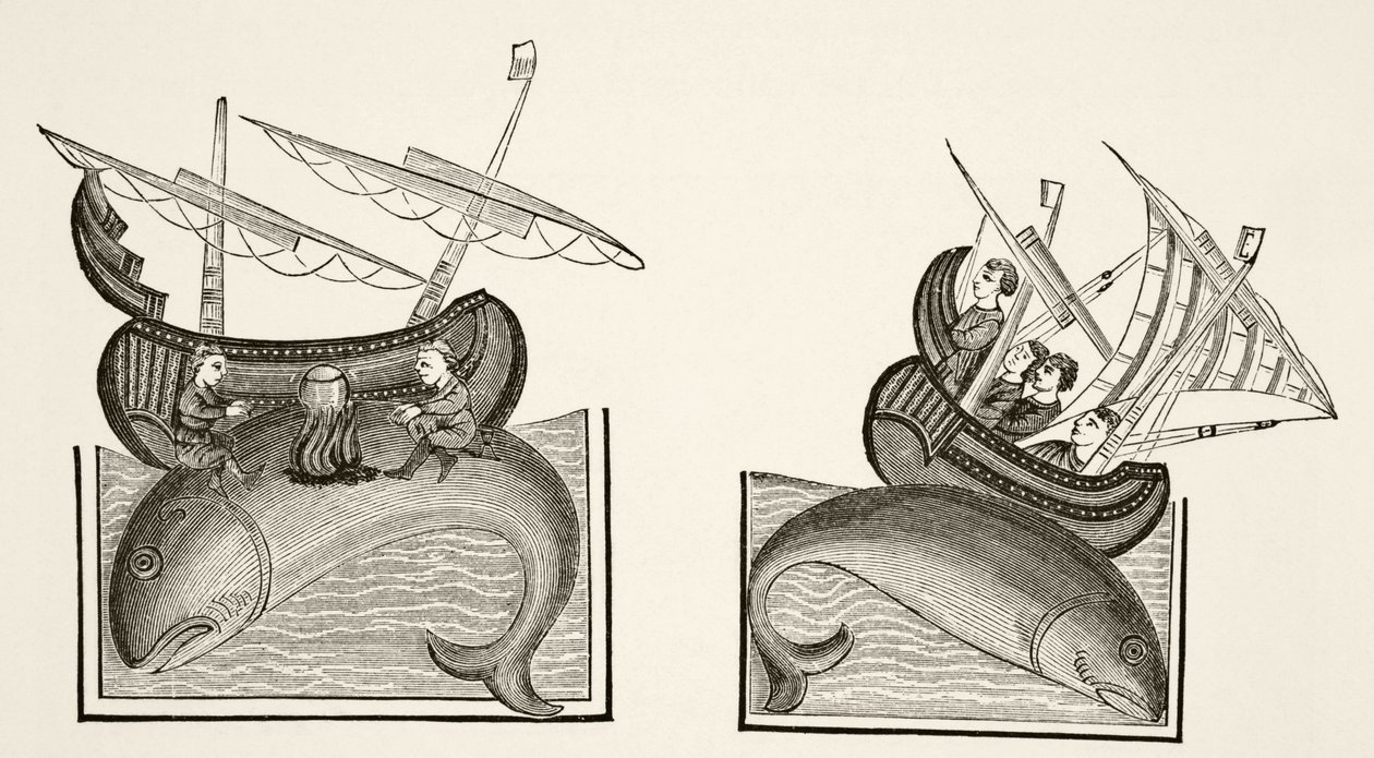 Navigatörer misstar en vals rygg för en ö, efter en miniatyr i Richard de Fournivals "Bestiarire d