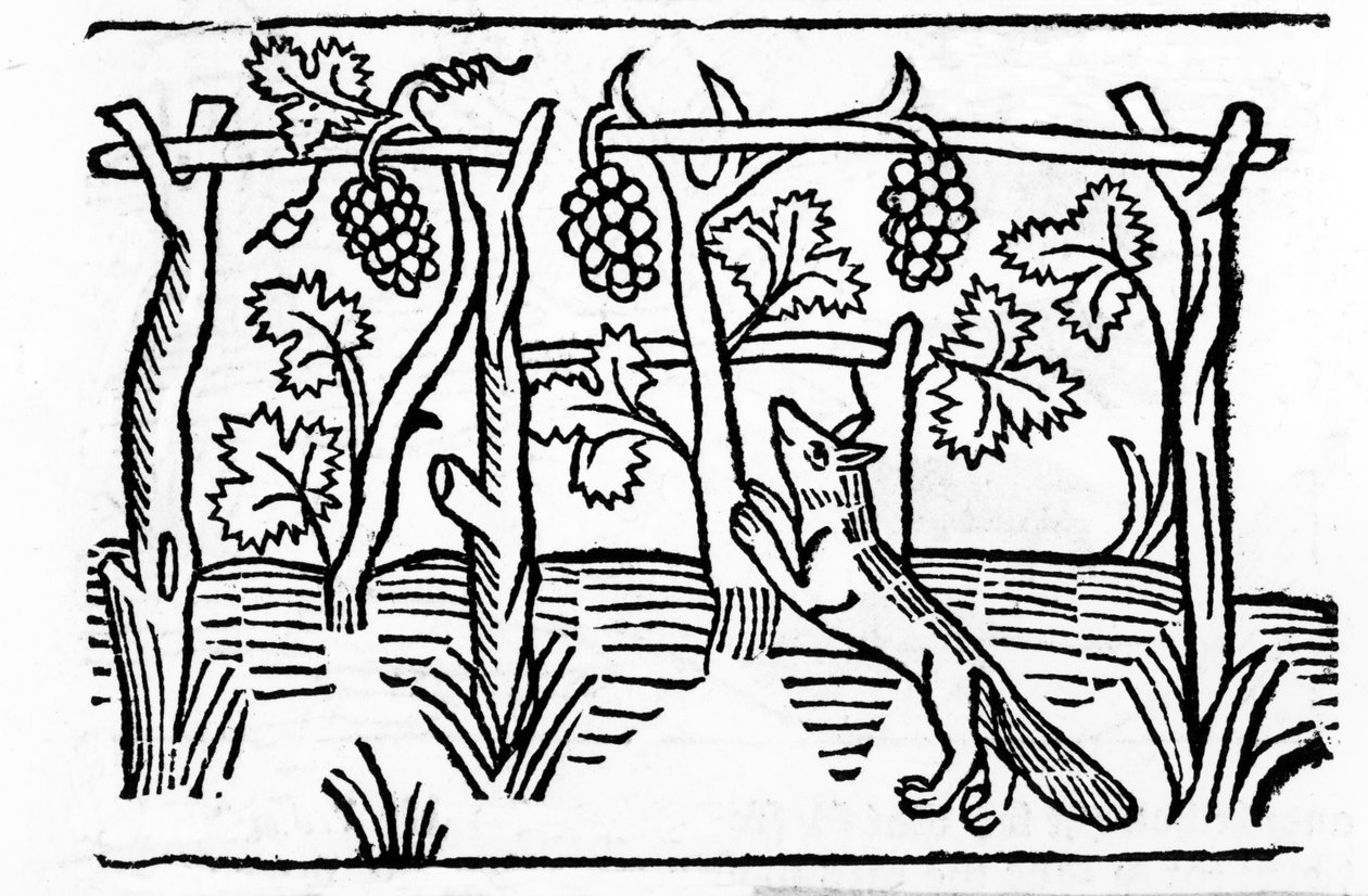 The Fox and the Raisins, illustration från Caxtons 
