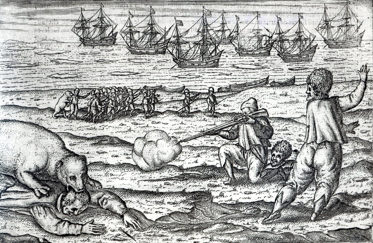 Sjömän attackerade av isbjörnar, illustration från 