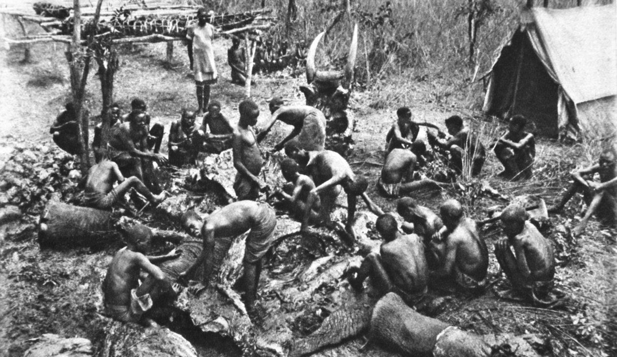 Dödad för köttransoner för våra infödda rhodesiska trupper, illustration från The Illustrated War News, september 1916 av English Photographer