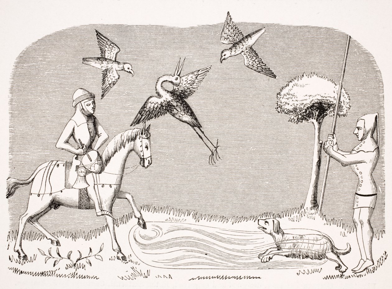 Heron Hawking, reproduktion av en miniatyr i 1300-talets manuskript 