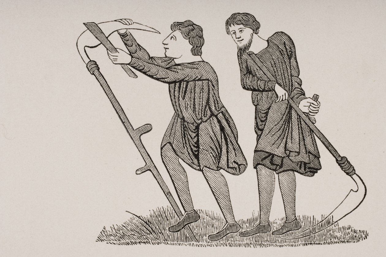 Serfs Laboring in the Fields with Scythes, efter en miniatyr i ett 1100-talsmanuskript, från 