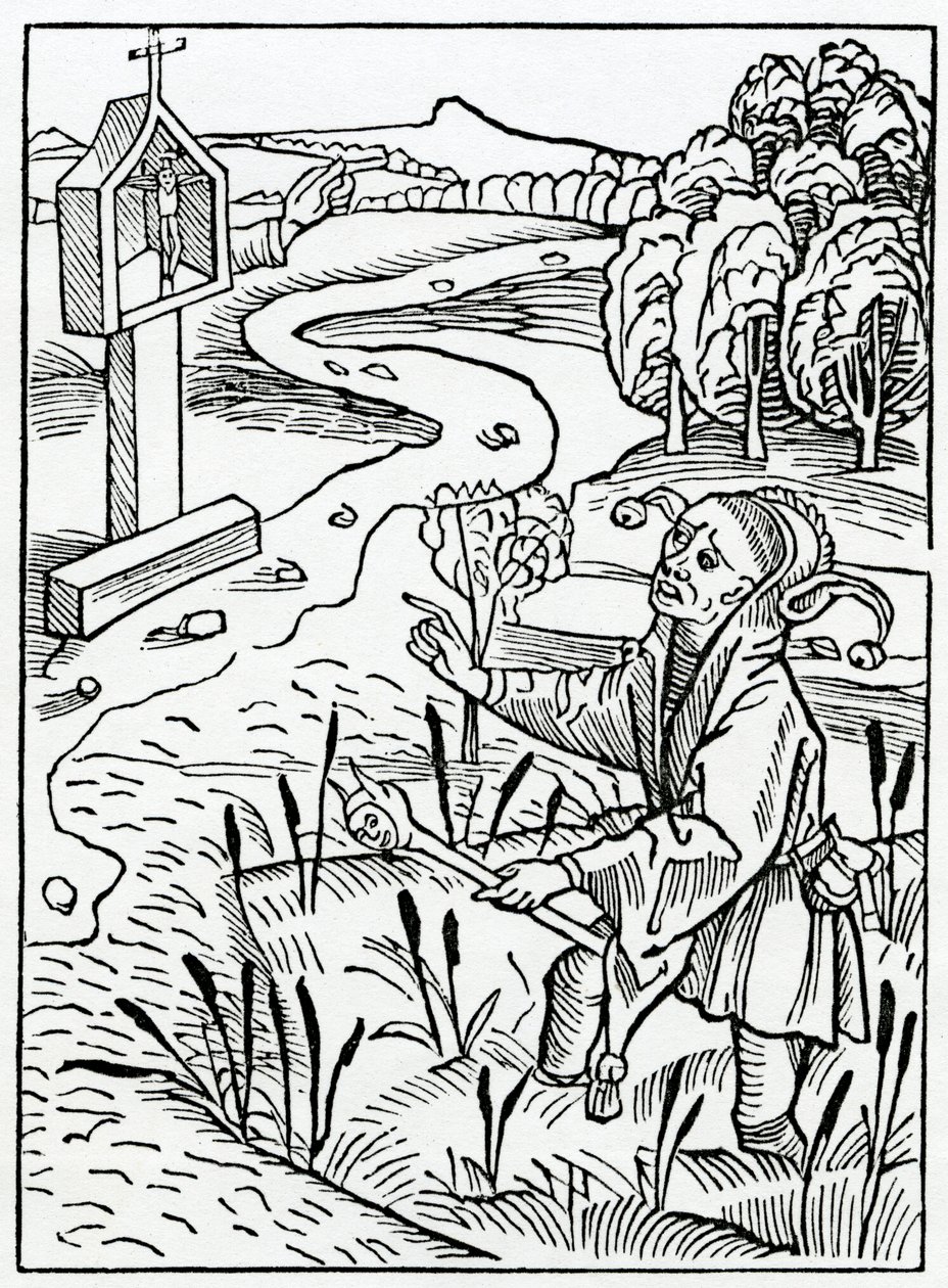 Av dem som korrigerar andra och ändå de själva gör ingenting och synner värre än de som de så korrigerar, illustration från Alexander Barclays engelska översättning av 