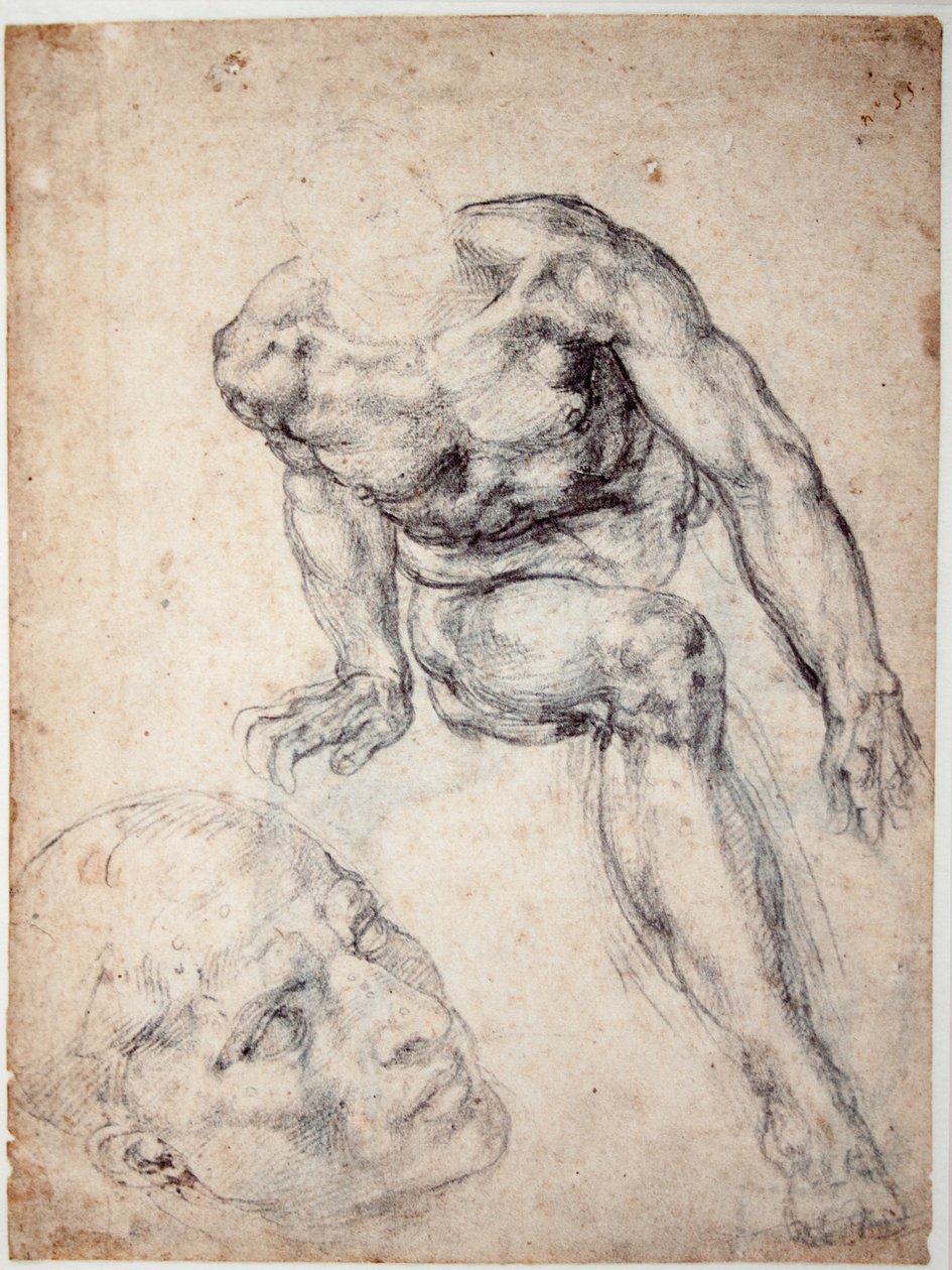 Studie av en manlig naken, separat studie av hans huvud av Michelangelo Buonarroti
