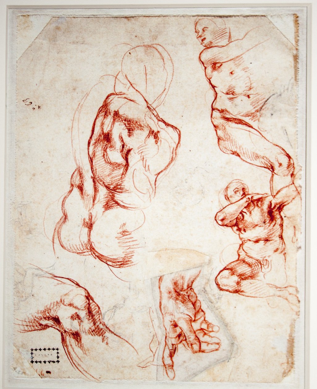 Tanulmány Isten kezéhez (Ádám teremtése) av Michelangelo Buonarroti