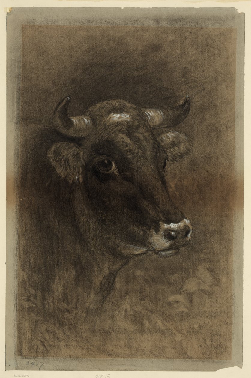 Cow av Unbekannt Unbekannt