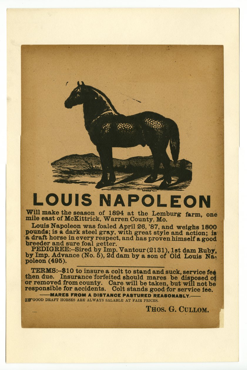 Broadside advertising draft horse Louis Napoleon for service, 1894 av Unknown