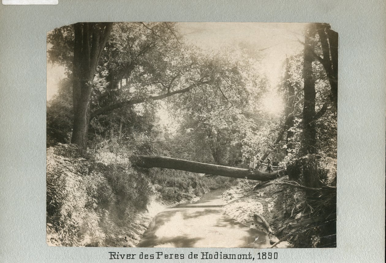 Two children walking over a fallen tree spanning a small river in the woods av Unknown
