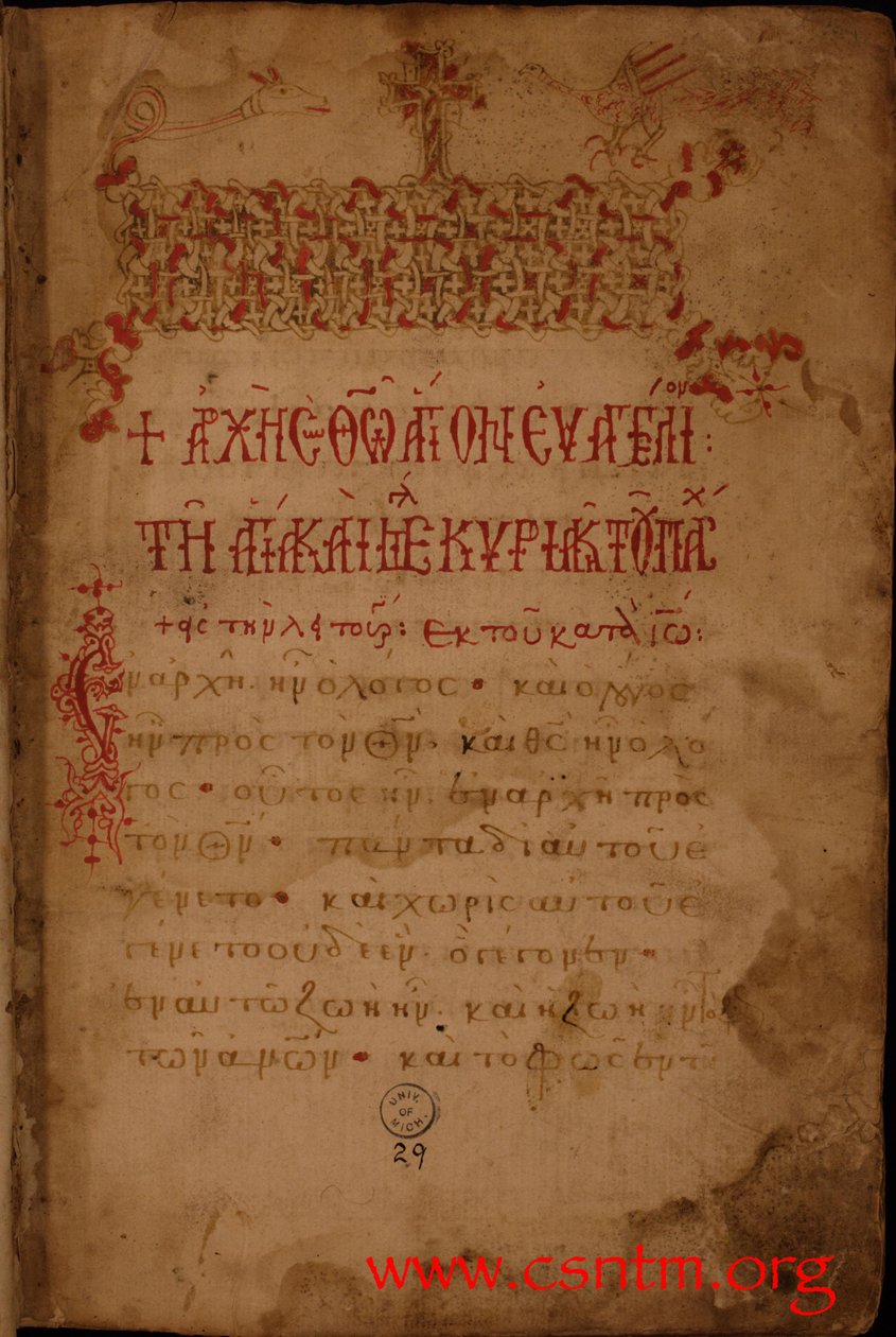folio 1 recto of the codex av Unknown