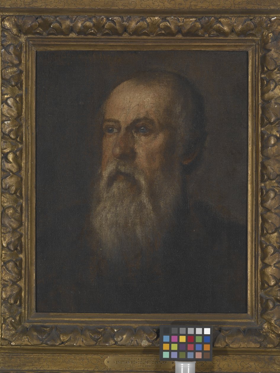 Porträtt av en skäggig man (olja på duk monterad på tavlan) av (1528 88) Veronese