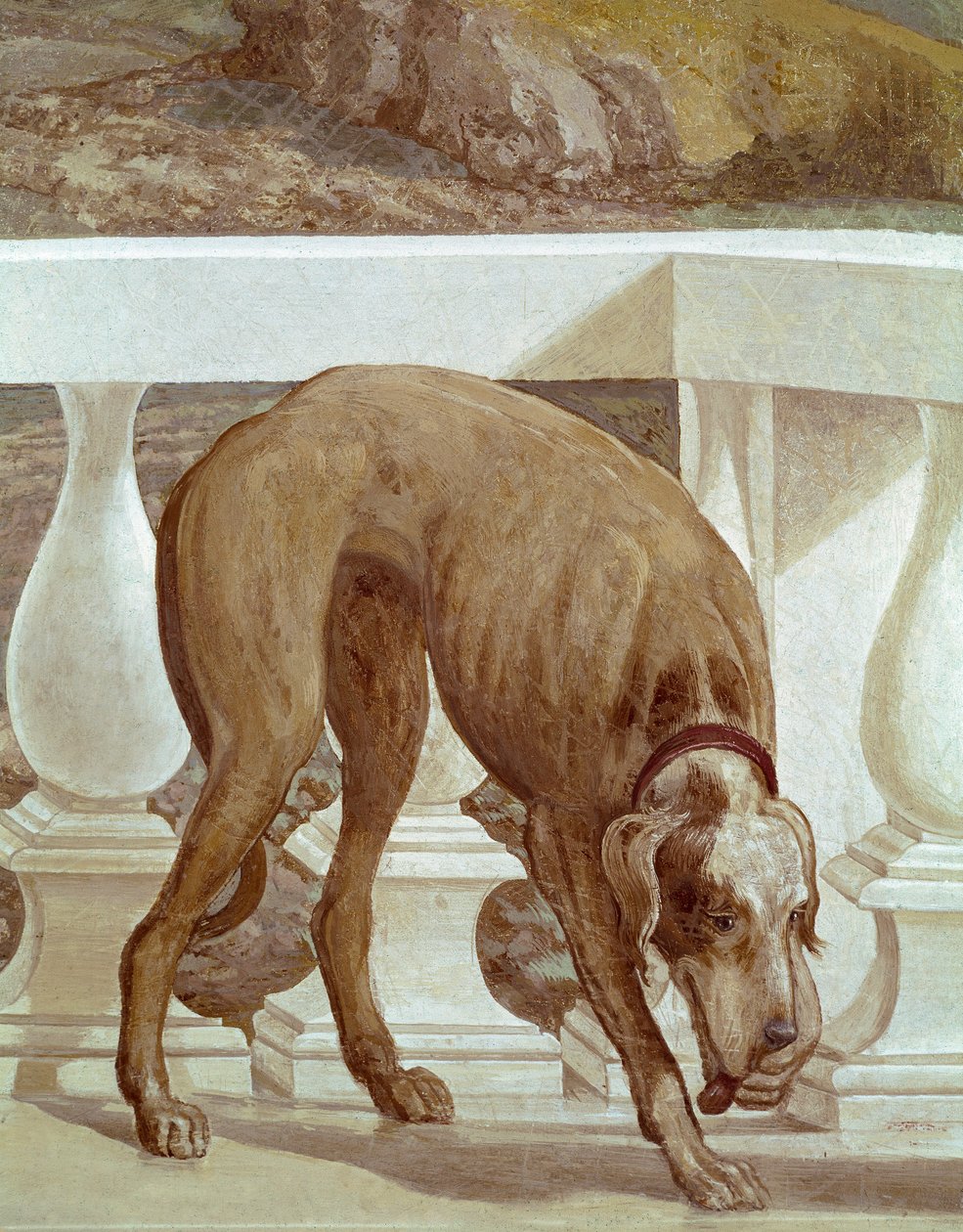 Hund på en balkong. Fräsch detalj. Målning av Paolo Caliari kallad Paolo Veronese (1528-1588), cirka 1561. Fresco Maser (Treviso), Villa Barbaro, Bacchus rum av Veronese