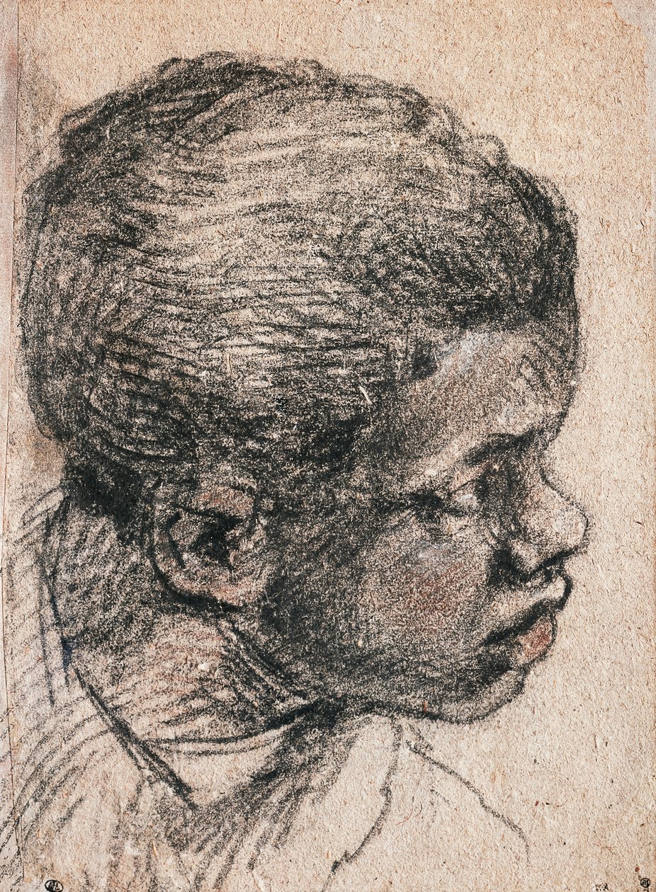 Huvudet för negerpojken, Paolo Caliari känd som Veronese (1528-1588), teckning av Veronese