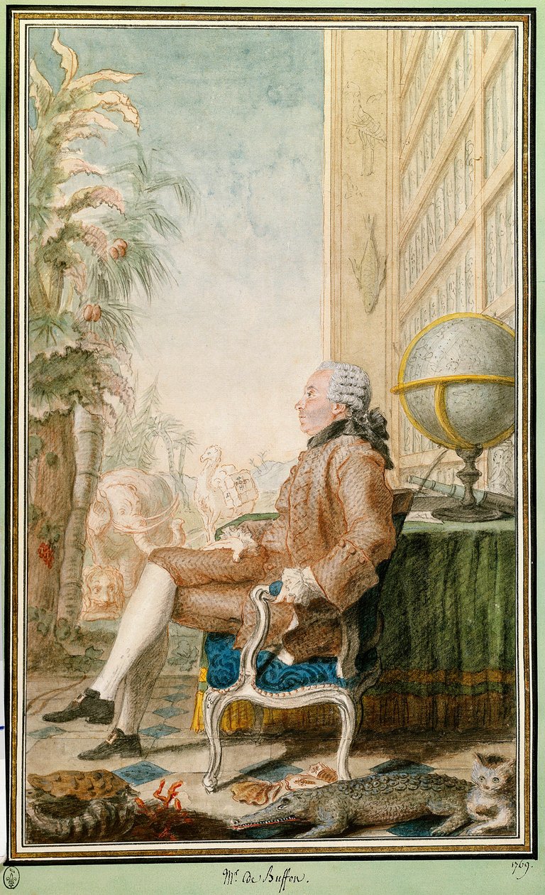 Porträtt av Georges-Louis Leclerc, greve av Buffon (1707-1788), naturforskare, intendant för Jardin du Roi. Akvarell av Louis Carrogis Carmontelle (1717-1806). Chantilly. Conde Museum av Carmontelle