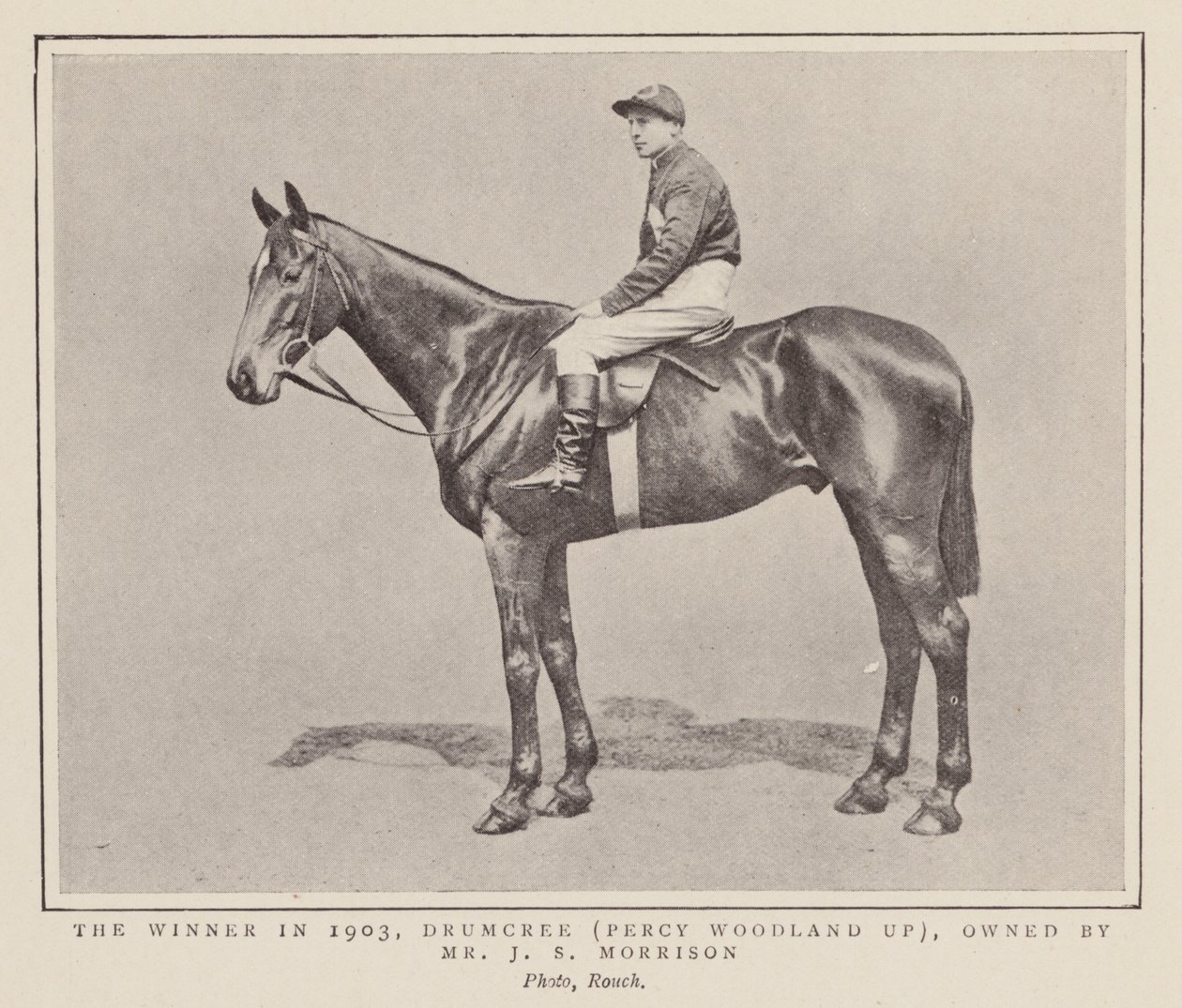 Drumcree, vinnare av Grand National 1903 (svartvitt foto) av (after) English photographer