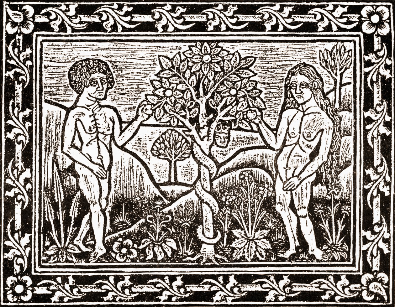 Trädet från vilket Adam åt äpplet, faksimil från en meditationsbok, den första boken som trycktes i Albi, Languedoc, 1481 av (after) French School