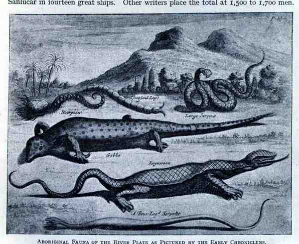 Aboriginal fauna som föreställts av de tidiga krönikörerna i "Nieuhoff