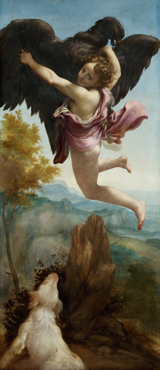 Bortförandet av Ganymedes av (c.1489 1534) Correggio