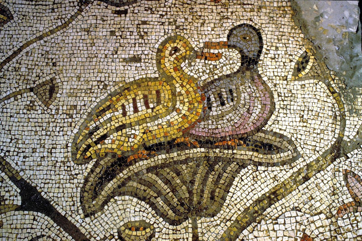 Detalj från Tabgha-mosaiken av Unknown