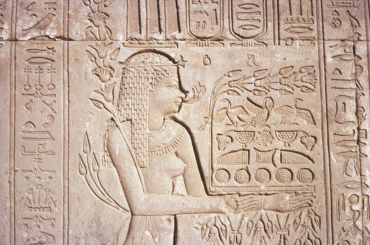 Egypten, Dendara, invecklade väggsniderier på den östra väggen vid Hathortemplet. av Unknown