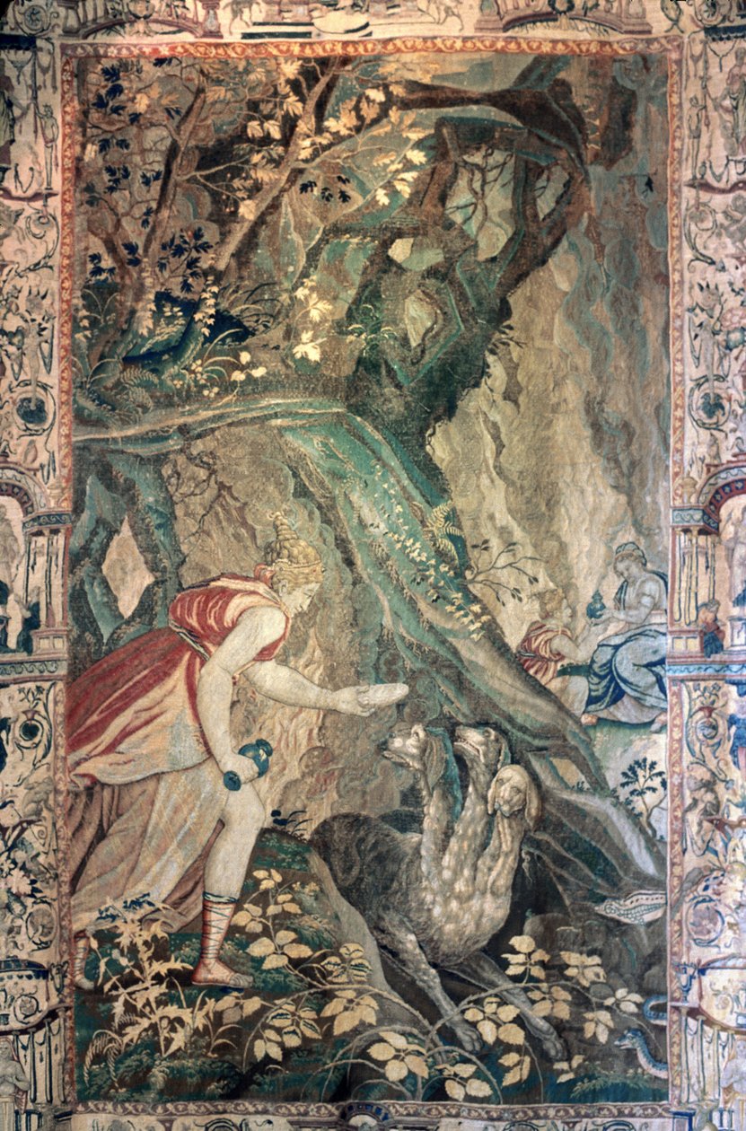 Indre & Loire N* 030 - Chateau dAzay-le-Rideau - Rum N* 9 - Tapet: Psyches historia av Unknown