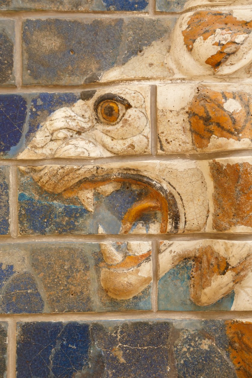 Istanbul, Turkiet. Arkeologiska museet. Glaserat tegellejon i relief från processionsgatan, Babylon, med anor från Nebukadnessar II-perioden cirka 604-562 f.Kr. av Unknown