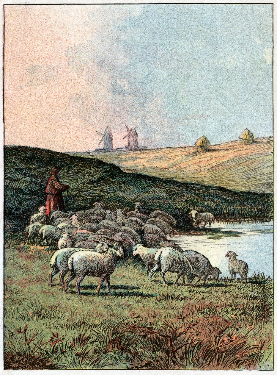 Flock får. Fårskock. av Unknown