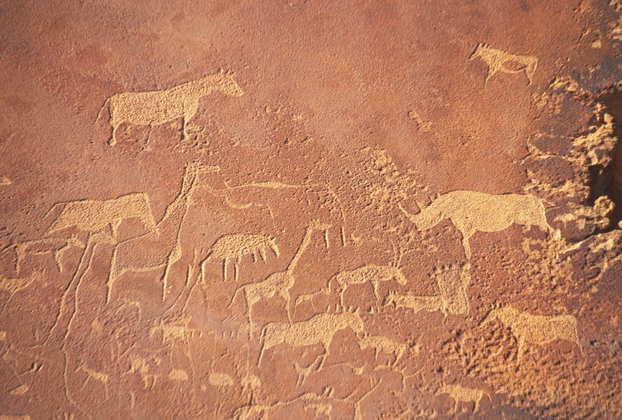 Twyfelfontein, söder om Khorixas, har en av de mest omfattande ansamlingarna av förhistoriska hällmålningar i Namibia målade av Damara-folket för 5-6 000 år sedan. Övervägande porträtterade är lejon av Unknown