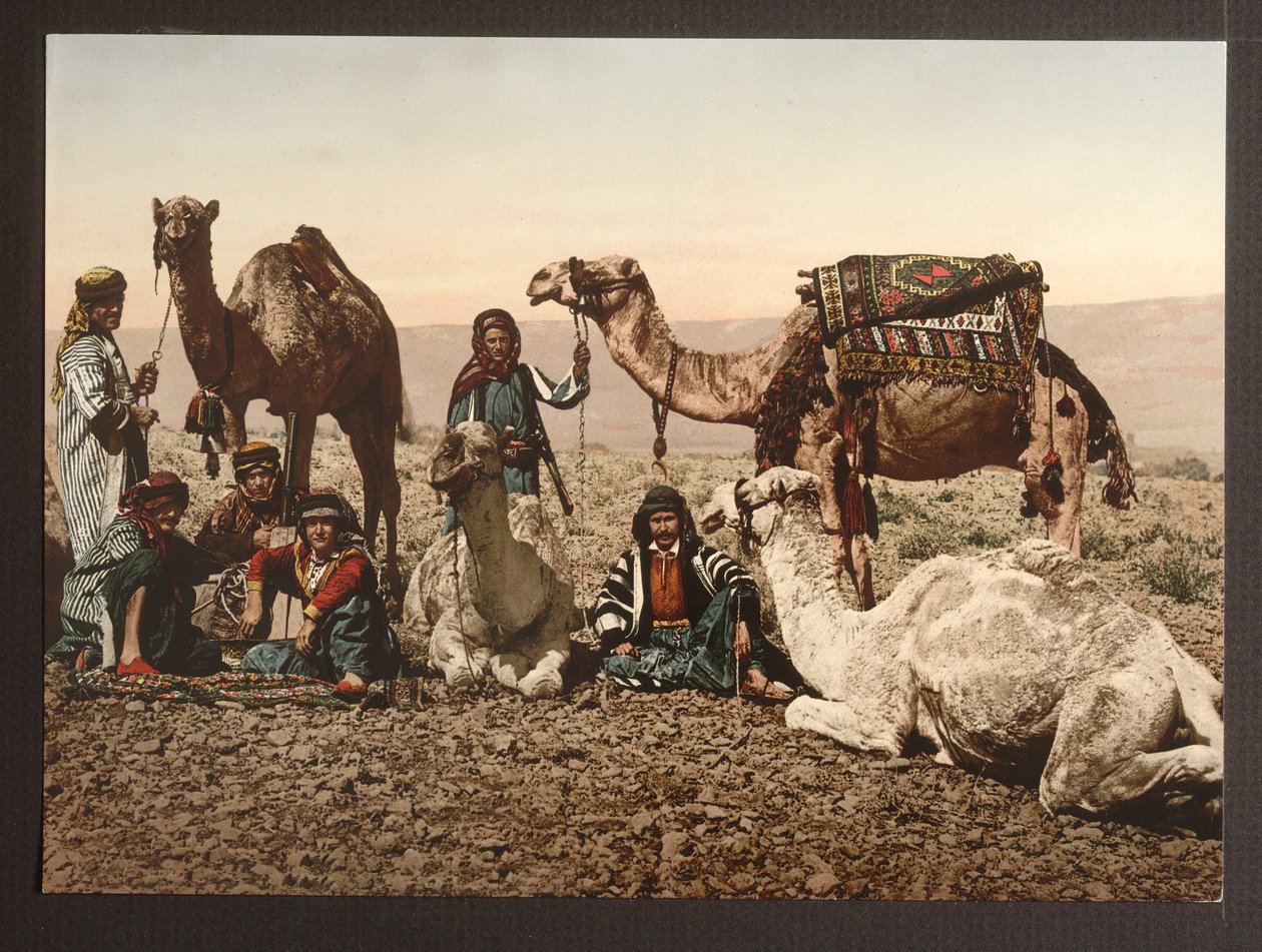 Kameltåg i öknen som vilar, pub. 1895 av American Photographer