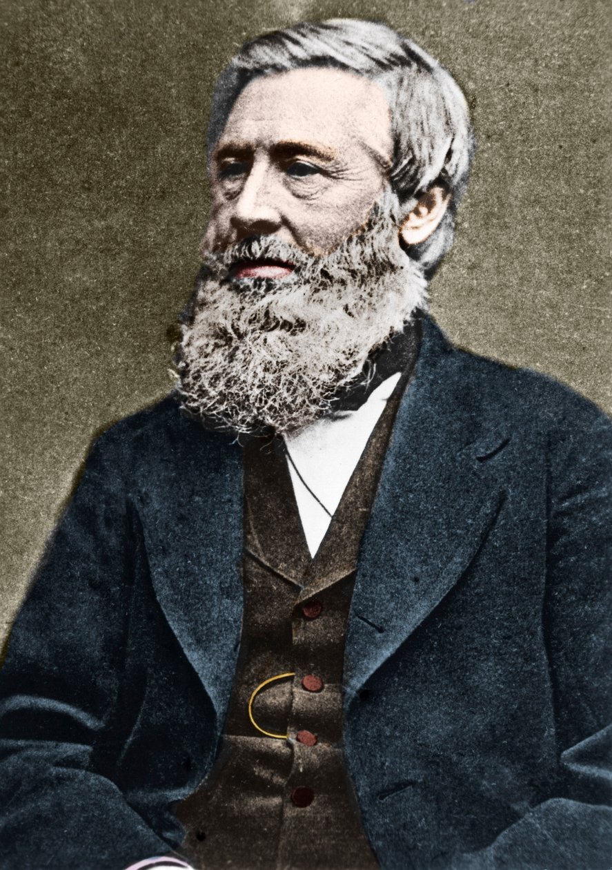 Porträtt av Asa Gray (1810-1888), amerikansk botaniker. c1884. av American Photographer