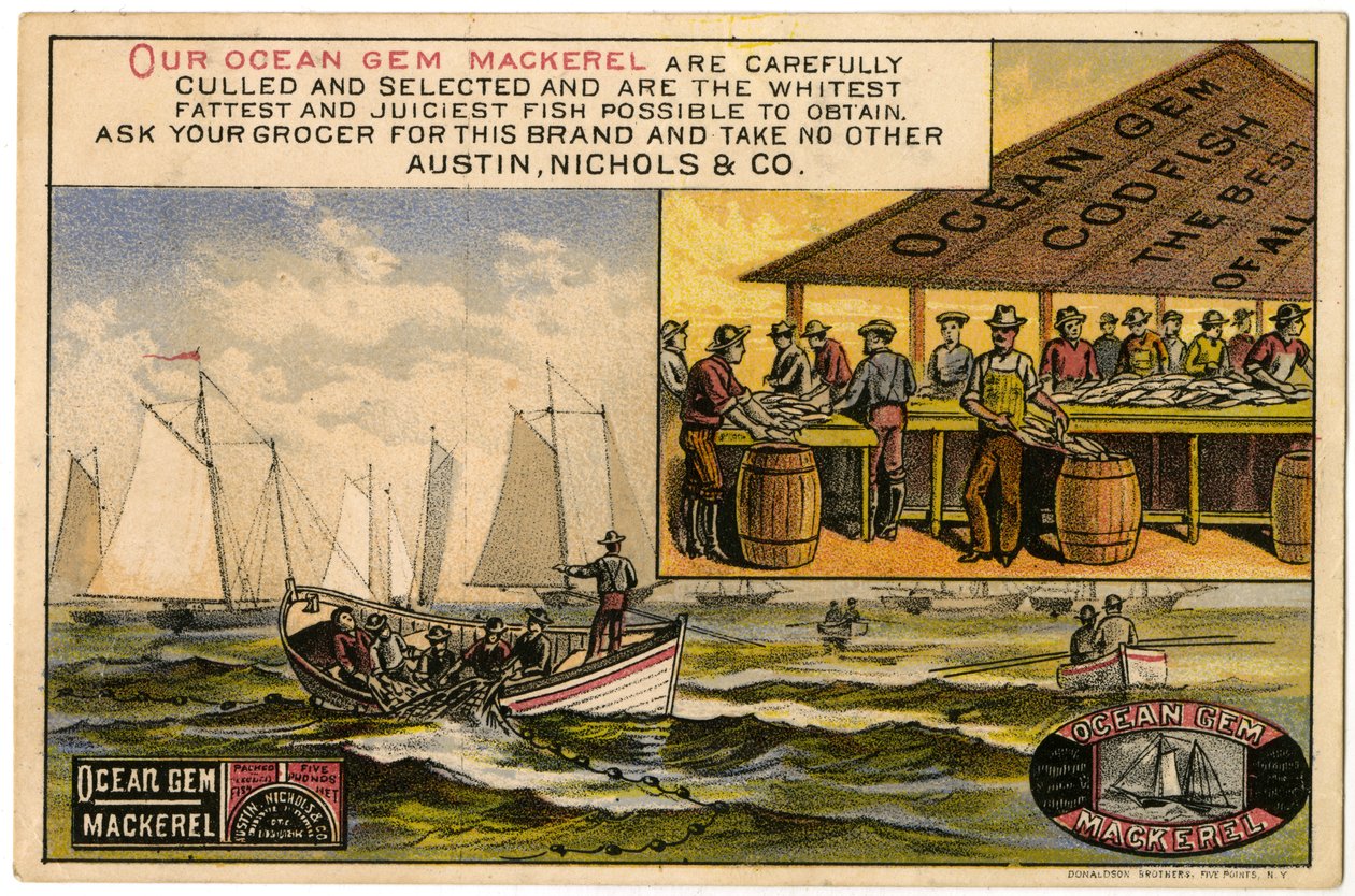 Austin, Nichols & Co. Ocean Gem Makrill, handelskort recto., (färg litho [byteskort]) av American School