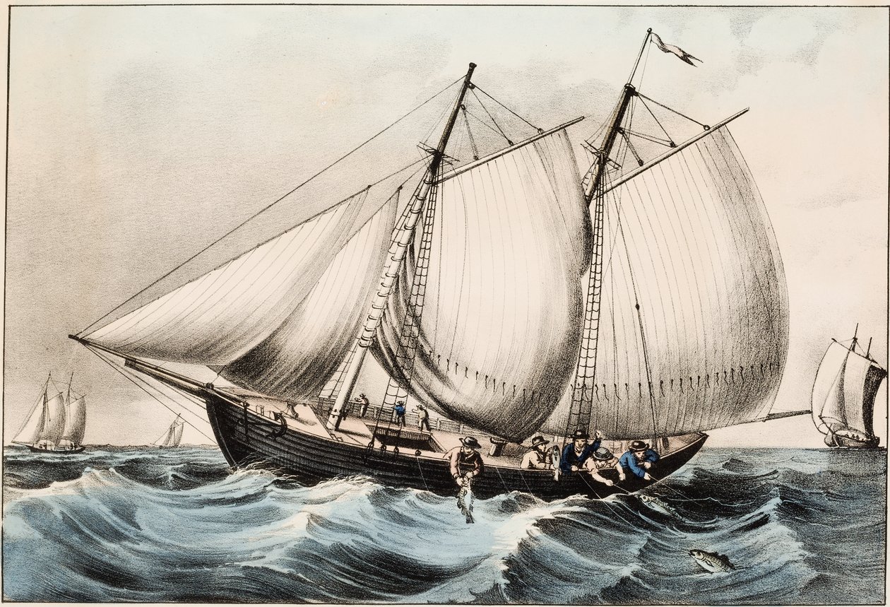 Torskfiske utanför Newfoundland, pub. 1872 av American School