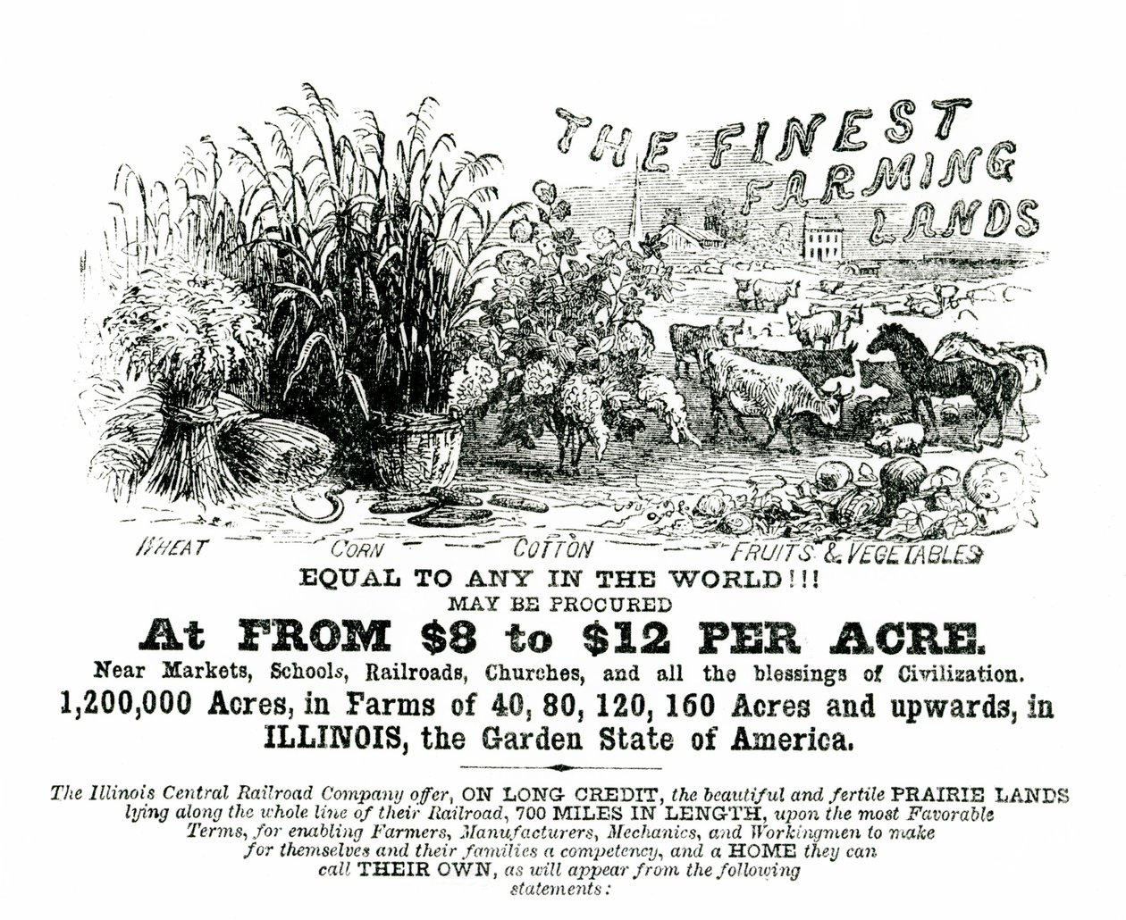 Illinois handbill reklam mark till salu av American School