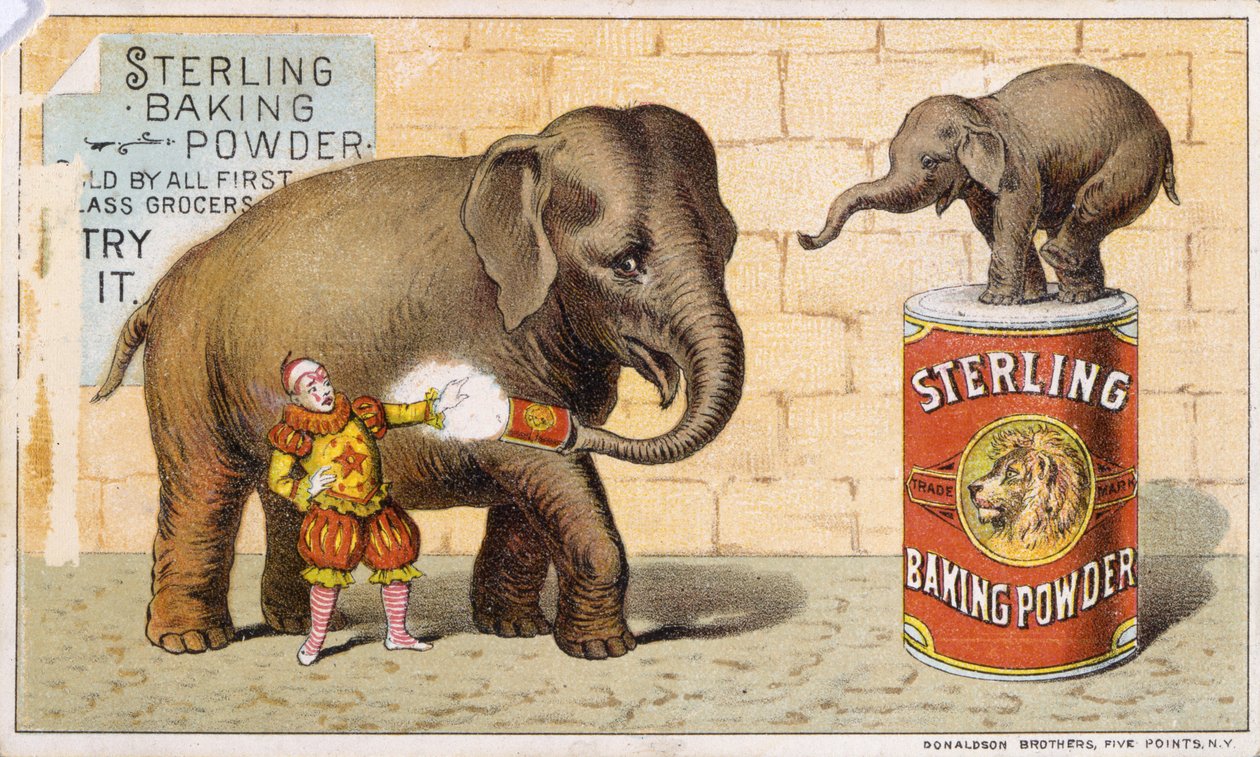 Sterling bakpulver (färglitografi [tradecard]) av American School