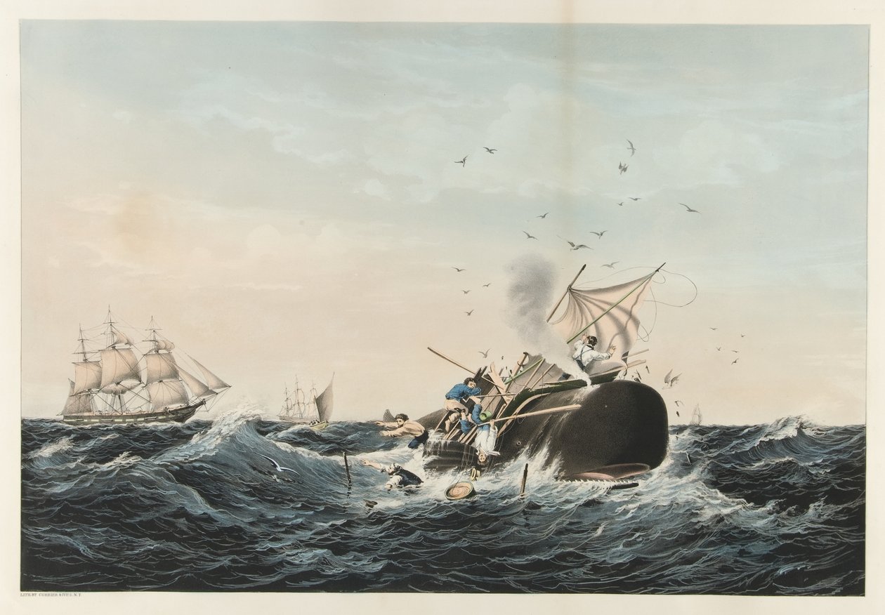 The Whale Fishery - Kaskeloten ?I a Flurry?, pub. 1860 av American School