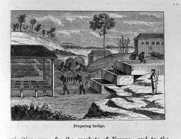 Förbereder Indigo, från Santo Domingo förr och nu av Samuel Hazard, pub. 1873 av English School