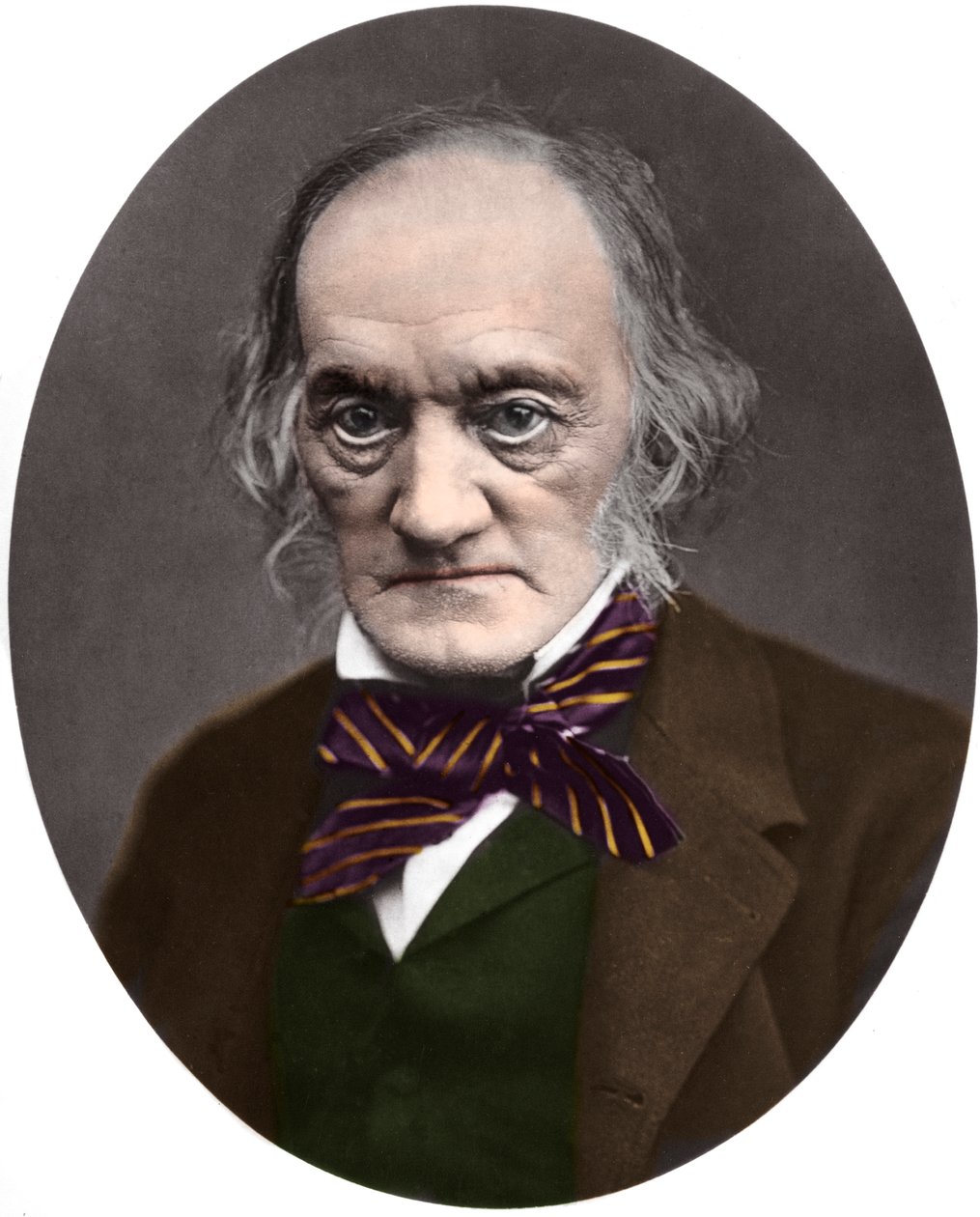 Porträtt av den brittiske paleontologen och anatomen Sir Richard Owen (1804-1892) av French Photographer