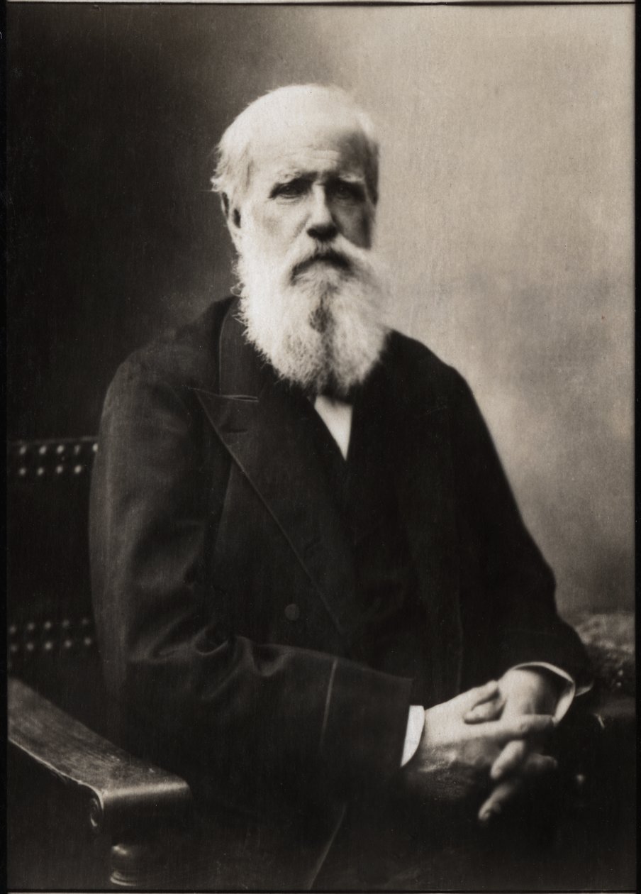 Porträtt av Dom Pedro II (Peter II) (1825-1891), kejsare av Brasilien. av French Photographer