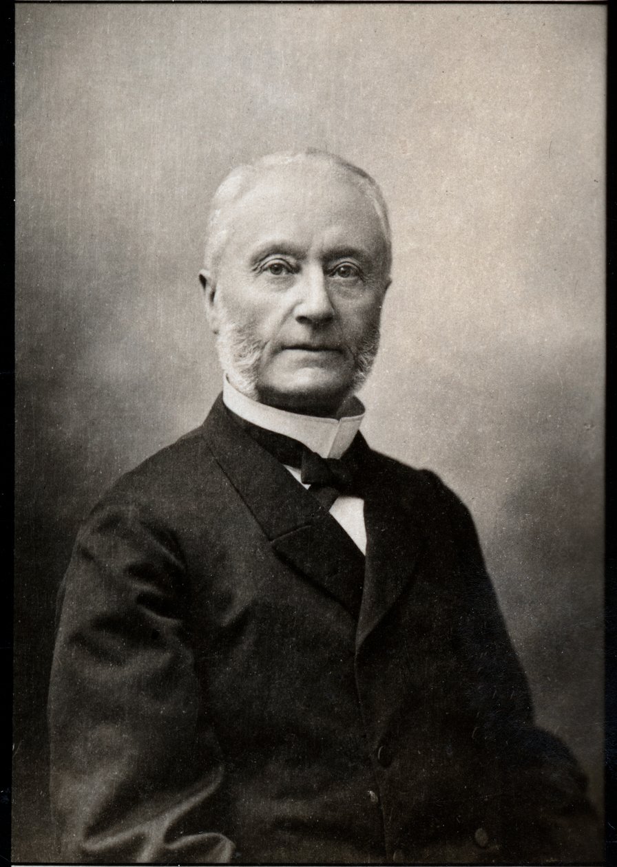 Porträtt av Henri Barboux (1834-1910), fransk advokat och politiker. av French Photographer