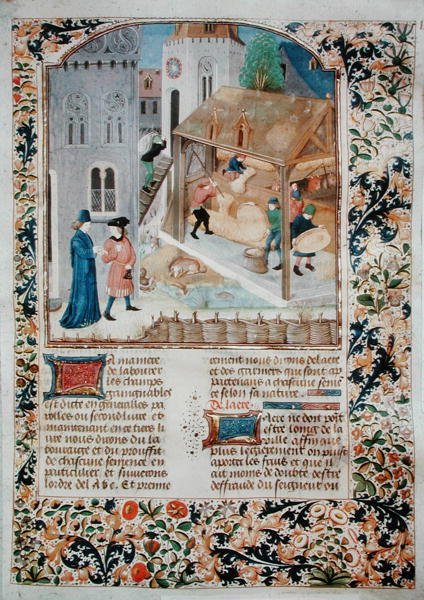 Ms 5064 fol.35r Threshing, från Livre des Prouffitz Champestres av Pietro de Crescenzi (1230-132021) av French School