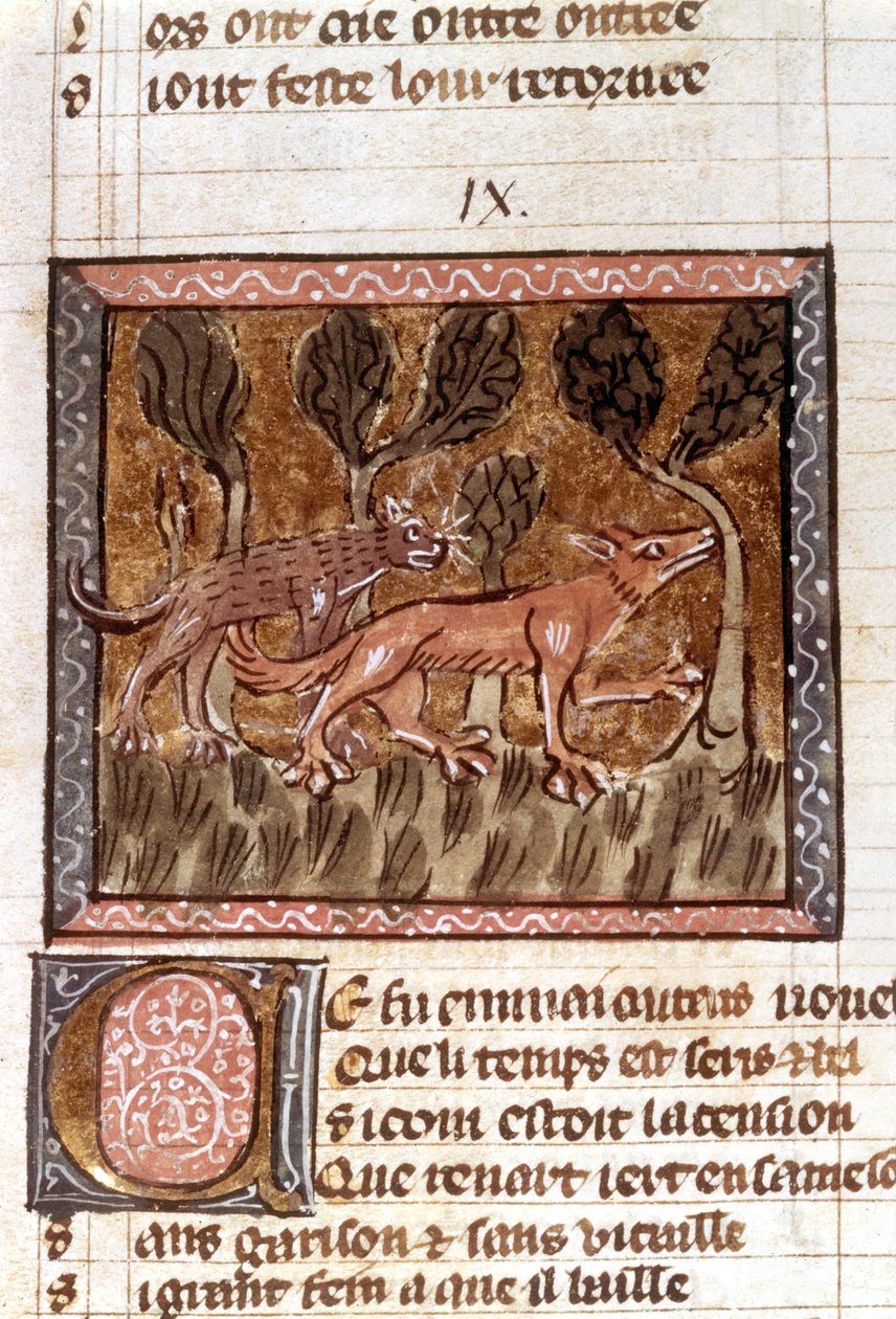Räven och vargen, belysning från manuskriptet Roman de Renart (Rävens roman), ca 1200-talet av French School