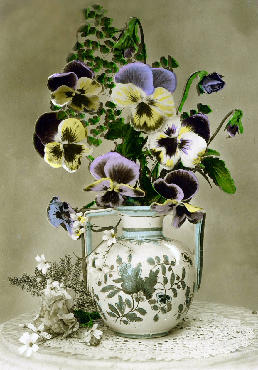 Vas med penséer c.1898 (handtonat foto) av French School