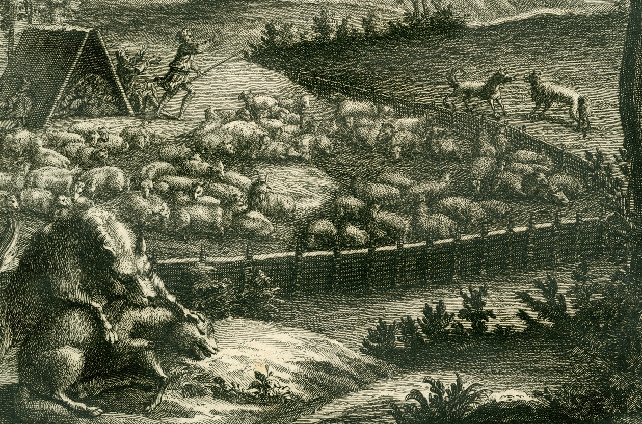 Varg attackerar ett får, 1731 (kopparstick) (detalj av 398066) av German School