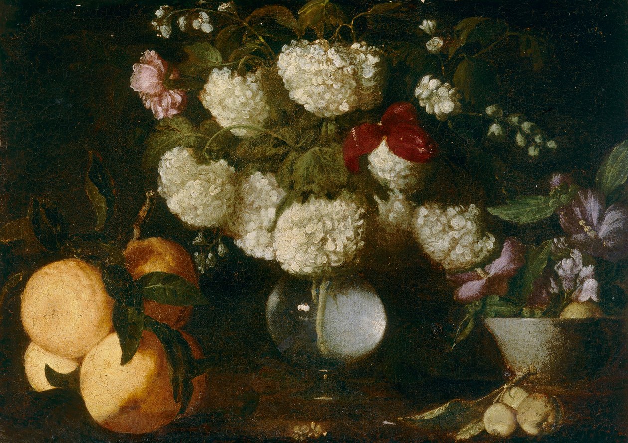 Snebolde, roser, hudfarver, frugtsved av Italian School