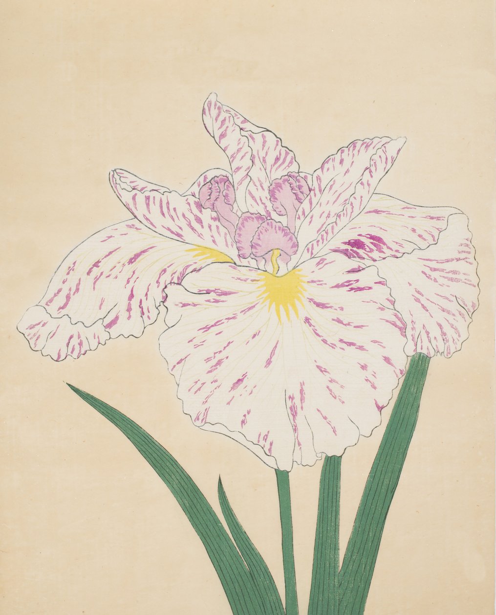 Ujino floddimma. 55, 1890 (Detta är DBock p Hayashi t) av Japanese School