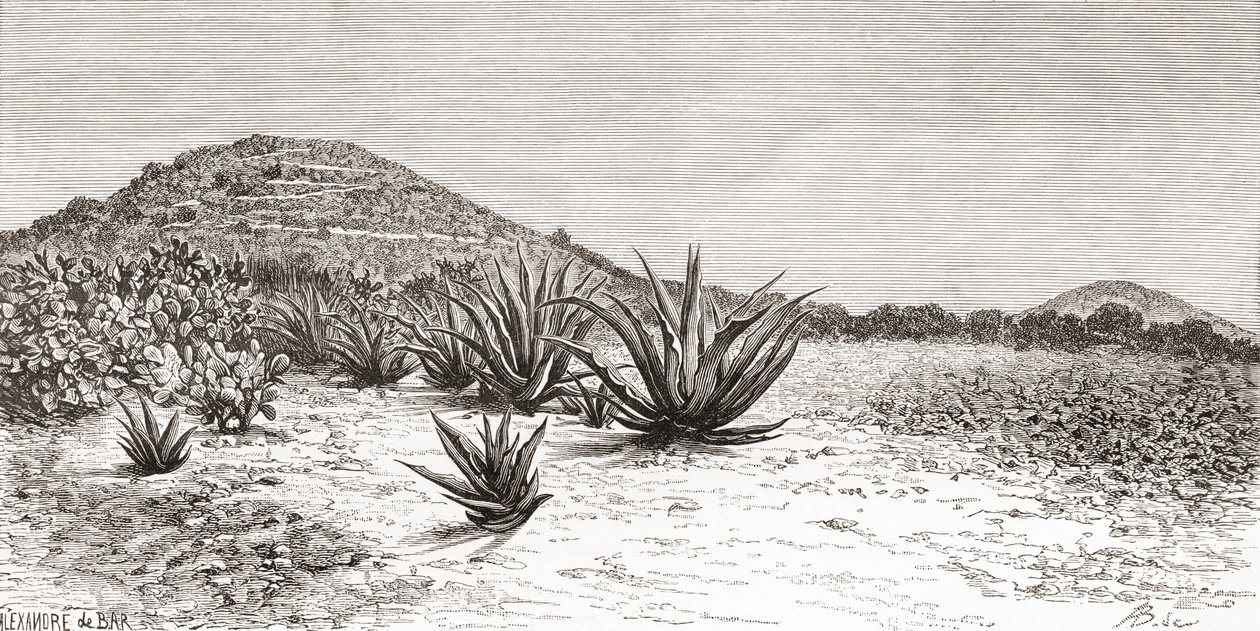 Solpyramiden, Teotihuacan, Mexiko av Spanish School