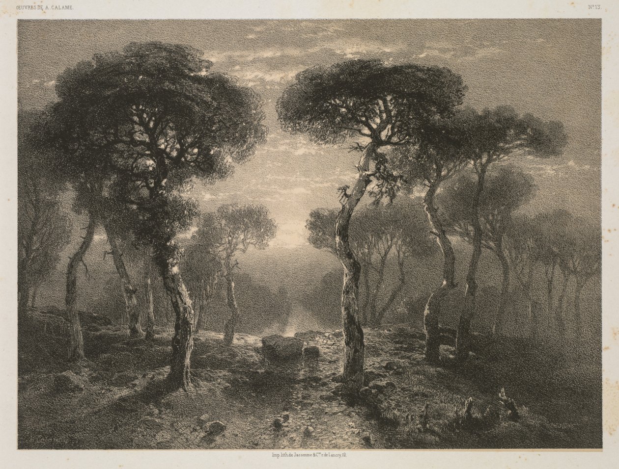 Verk av A. Calame, nr 13: Forest of Sierre in Valais, 1843 publicerad 1851. av 12 Jacomme and Cie. R. de